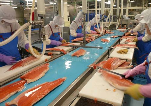 Các sản phẩm bảo trì bề mặt