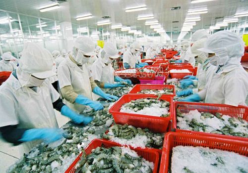 Xử lý nước thải chế biến thực phẩm, giết mổ