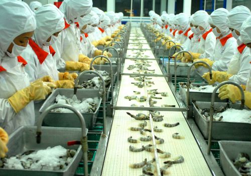 Ứng dụng công nghệ vào sản xuất thực phẩm an toàn