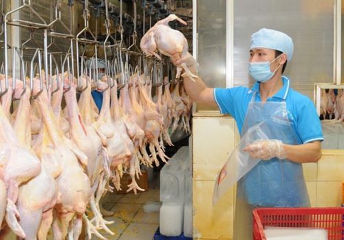 Tìm hiểu cách xử lý nước thải ngành công nghiệp thực phẩm