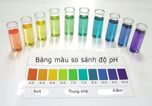 Độ PH là gì? Cách tính độ PH của dung dịch hiệu quả nhất