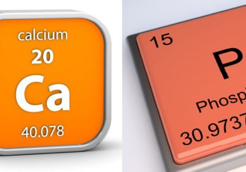 PHOTPHO có trong thực phẩm nào? - Ảnh hướng của photpho đối với sức khỏe con người