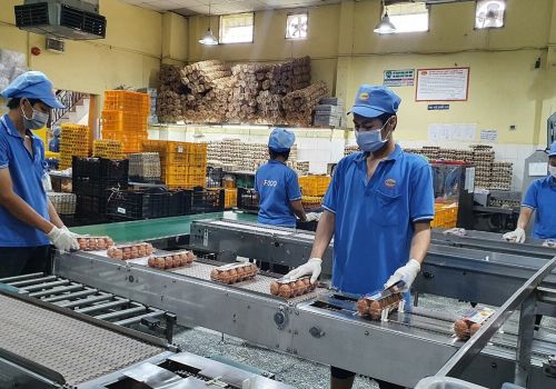 Khám phá một số quy trình sản xuất thực phẩm tiêu dùng