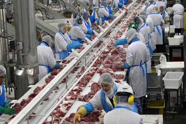 che_bien_thuc_pham_1_ftec_com_vn