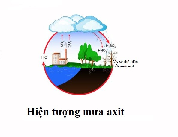 hien-tuong-mua-axit-3