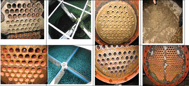 hoa-chat-tay-rua-cau-can-3