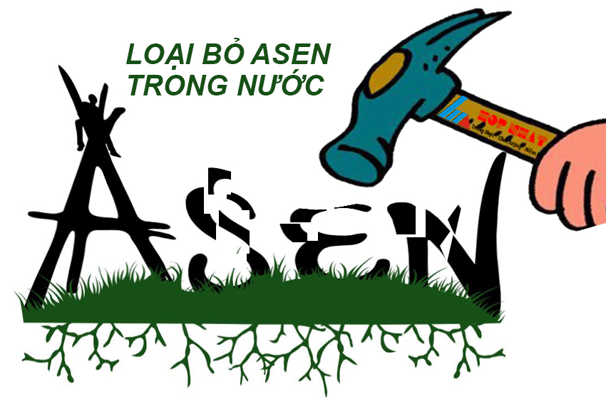 loai-bo-asen-trong-nuoc