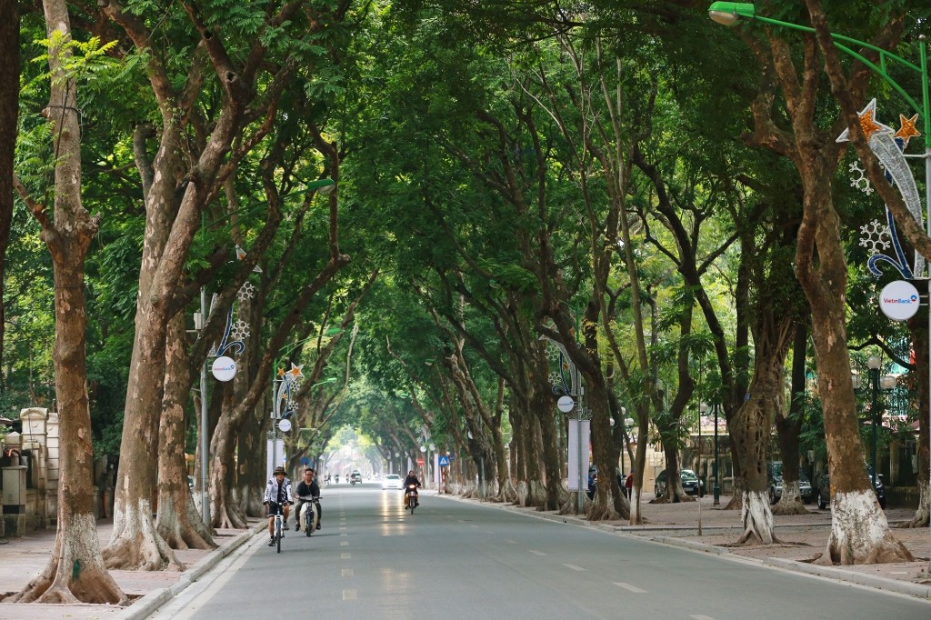 moi-truong-khong-khi-la-gi-9